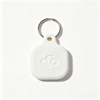 Custom Logo Silicone Keychain